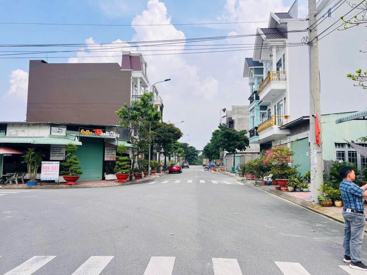 Ảnh 5