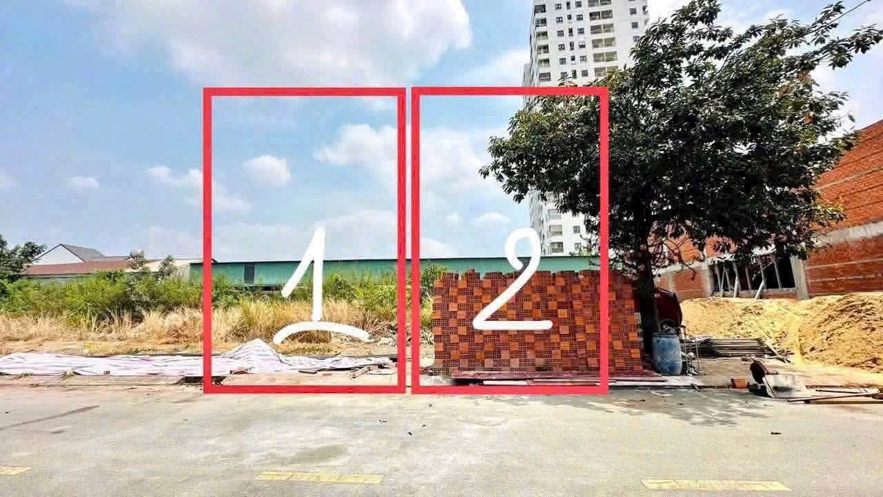 Ảnh 1
