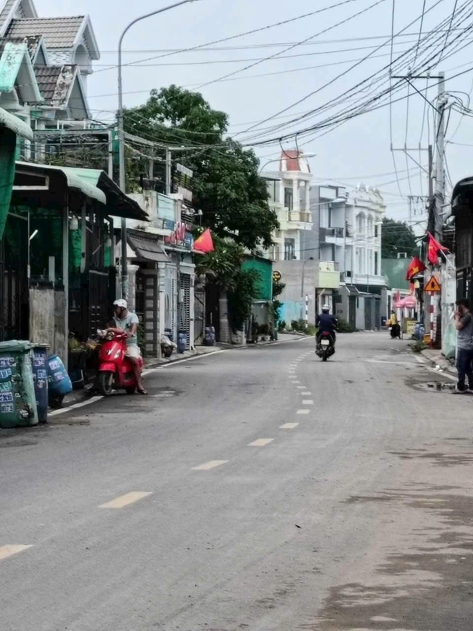 Ảnh 1