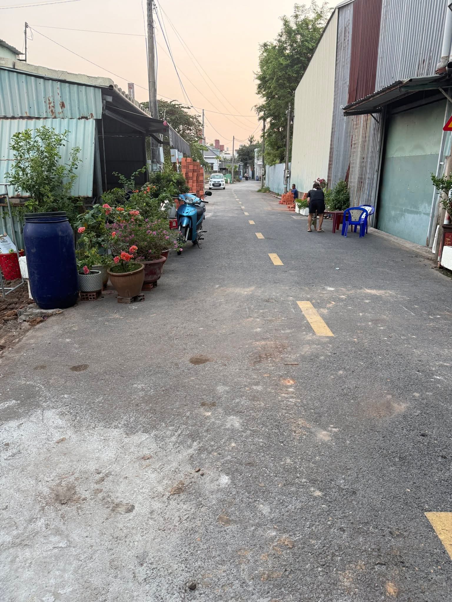 Ảnh 3