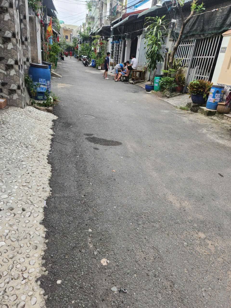 Ảnh 3