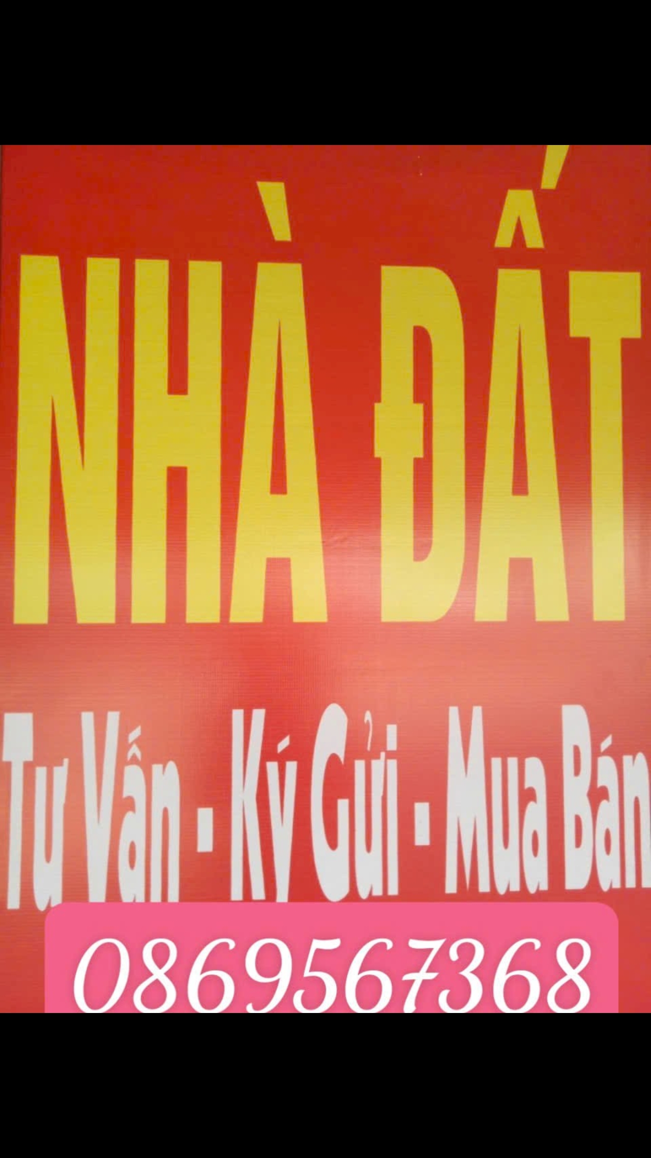 Ảnh 1