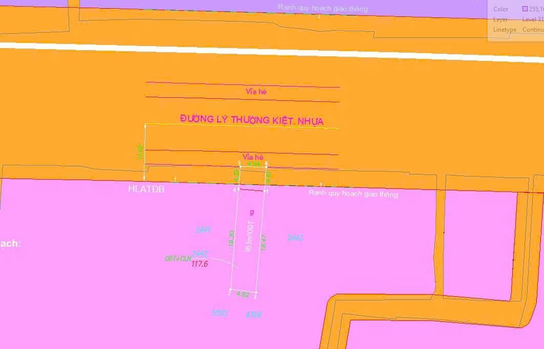 Ảnh 3