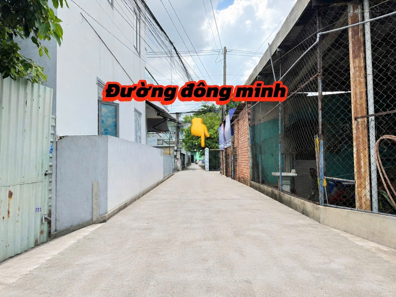 Ảnh 1