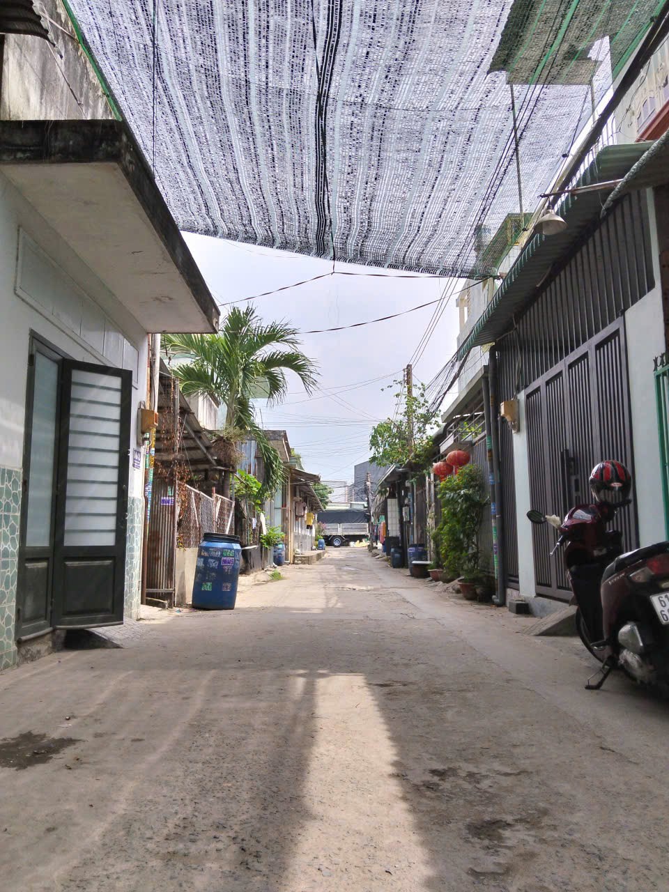 Ảnh 5