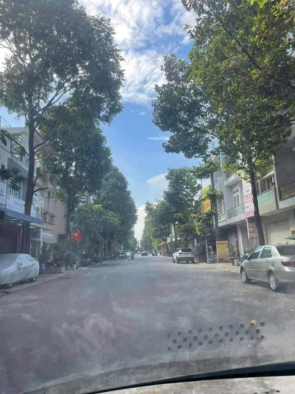 Ảnh 4